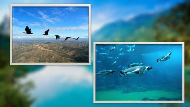 Introducción a los Números Enteros para Jóvenes de 12 Años