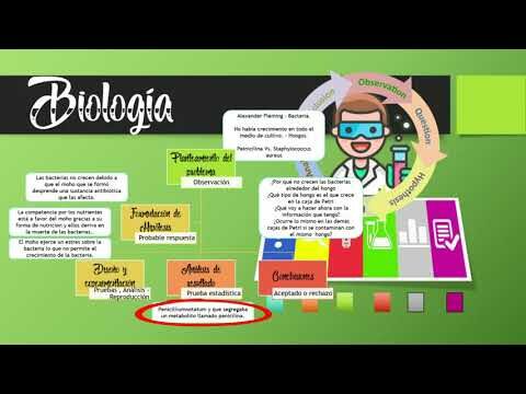 Aplicaci&oacute;n de M&eacute;todos de Investigaci&oacute;n en Biolog&iacute;a