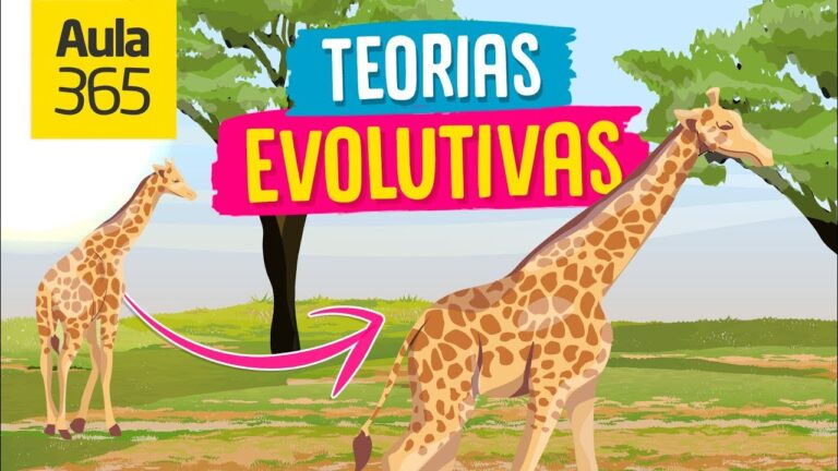 Adaptación y Evolución: Conceptos Clave para Secundaria