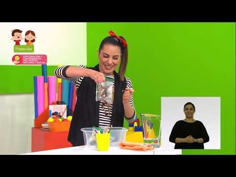 Ciencias de la Naturaleza: Explorando el Mundo para Preadolescentes